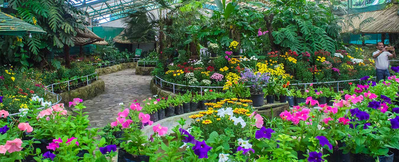 Flower Exhibition Centre